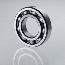 Non Standard Bearings